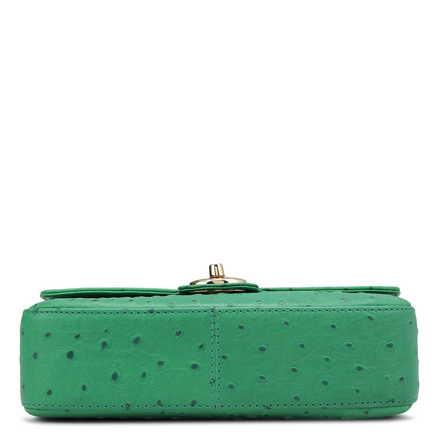 Small Ostrich Leather Shoulder Bag - Green