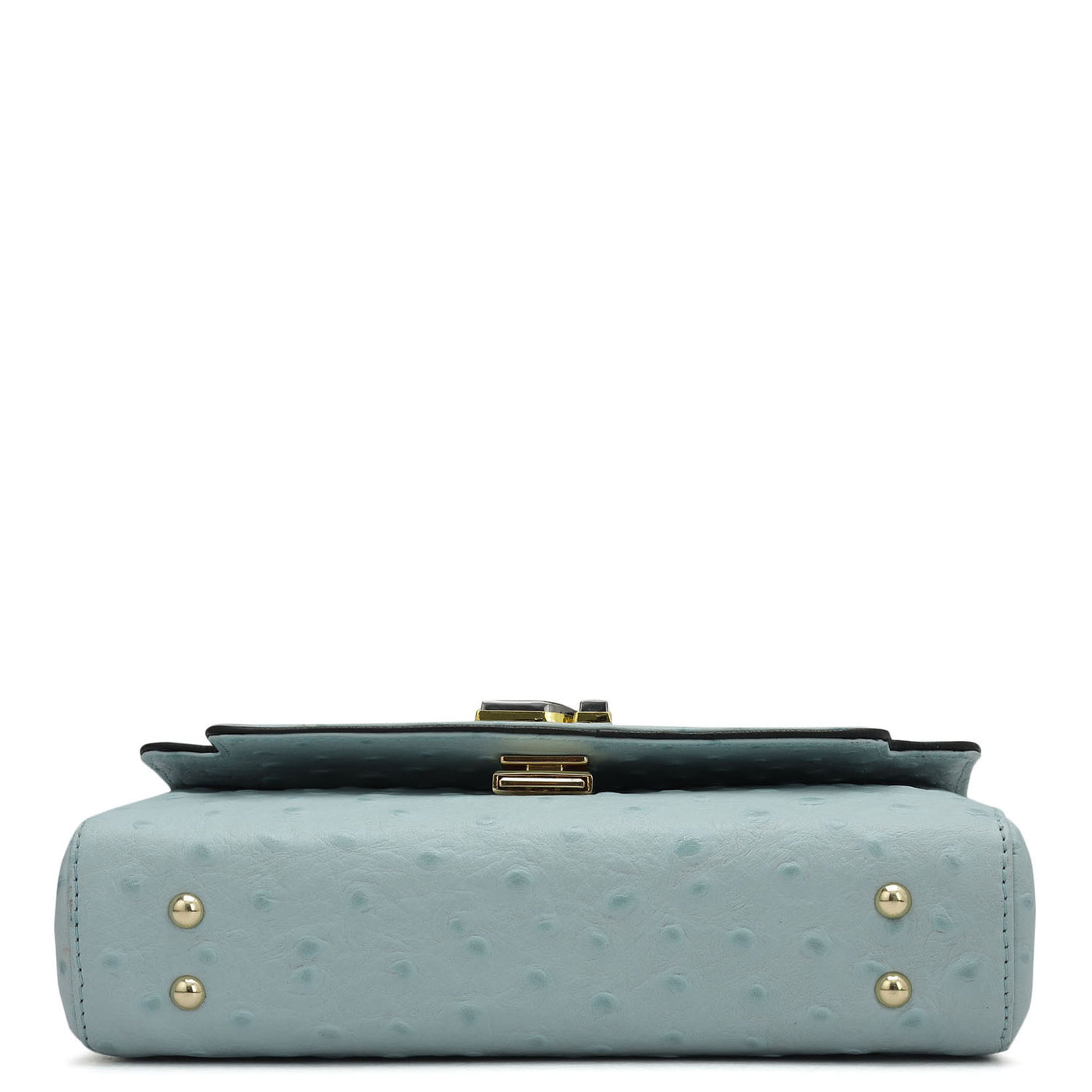 Small Ostrich Leather Baguette - Ice Blue